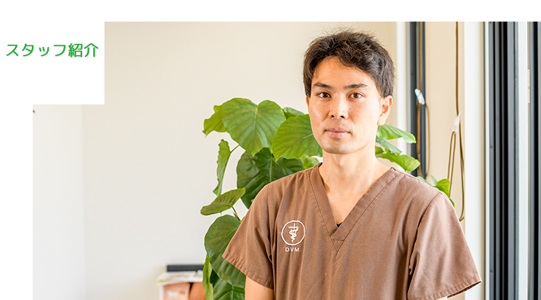 スタッフ紹介